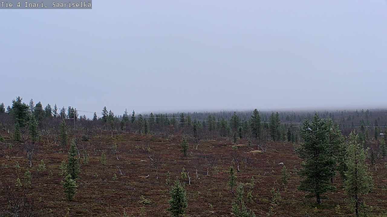 Kelikamerat Kuva Tie 4 Inari, Saariselkä, Kaunispää, Inari, Lappi