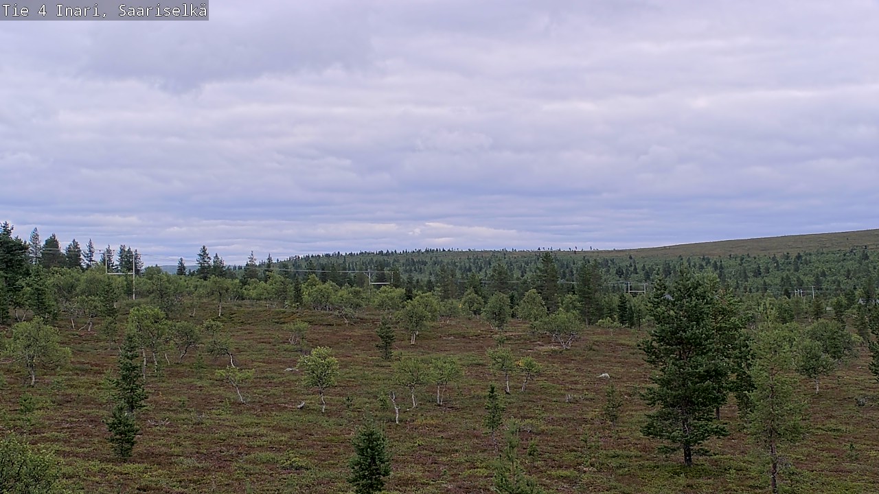 Kelikamerat Kuva Tie 4 Inari, Saariselkä, Kaunispää, Inari, Lappi