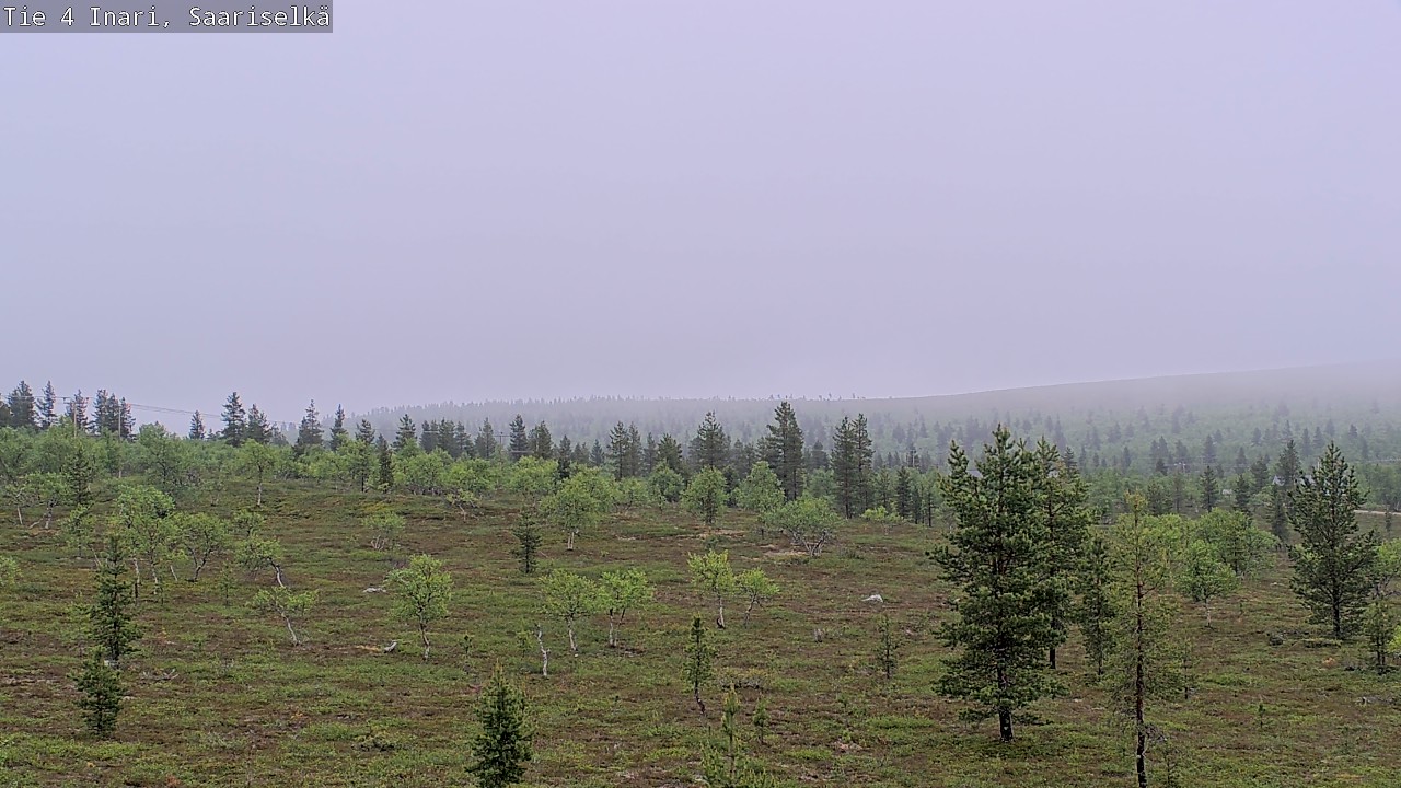 Kelikamerat Kuva Tie 4 Inari, Saariselkä, Kaunispää, Inari, Lappi