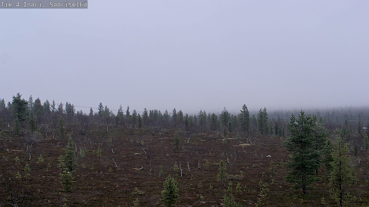 Kelikamerat Kuva Tie 4 Inari, Saariselkä, Kaunispää, Inari, Lappi
