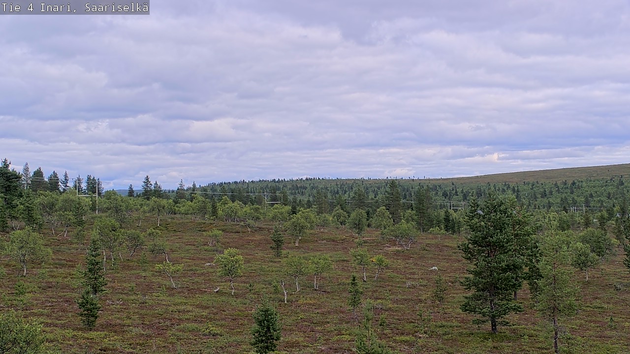 Kelikamerat Kuva Tie 4 Inari, Saariselkä, Kaunispää, Inari, Lappi