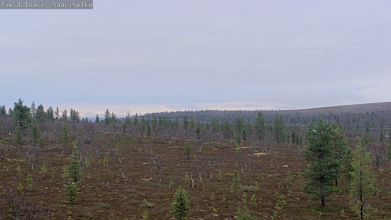 Kelikamerat Kuva Tie 4 Inari, Saariselkä, Kaunispää, Inari, Lappi