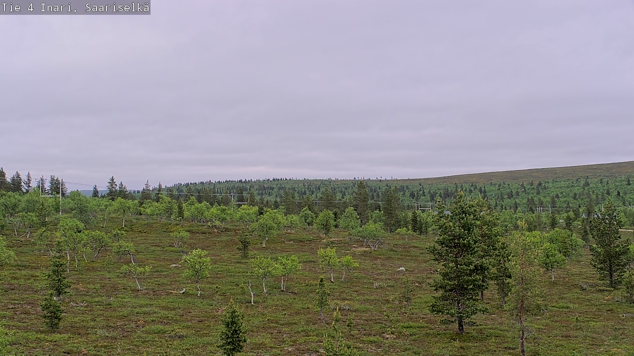 Kelikamerat Kuva Tie 4 Inari, Saariselkä, Kaunispää, Inari, Lappi