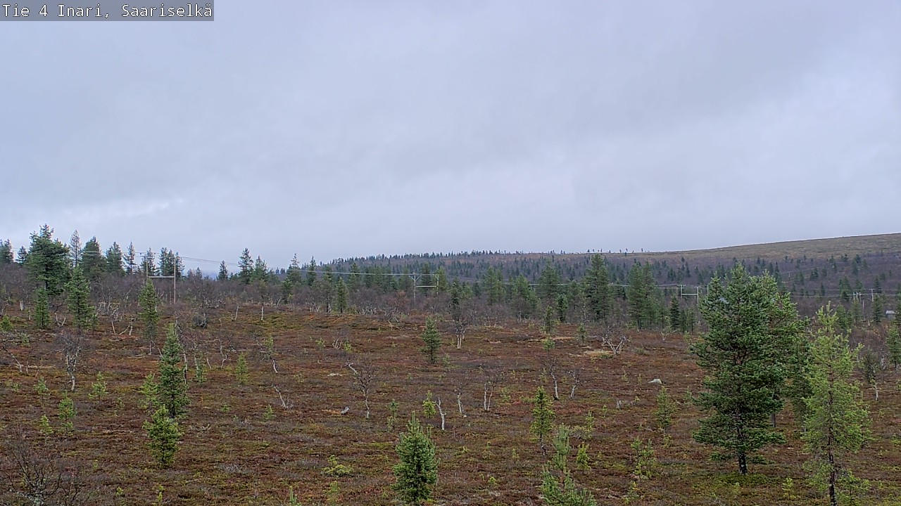 Weather Camera Image Road 4 Inari, Saariselkä, Kaunispää, Inari, Lappi