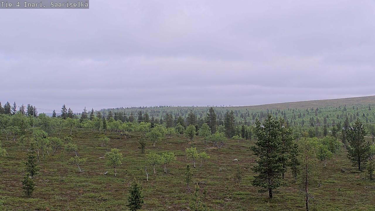 Kelikamerat Kuva Tie 4 Inari, Saariselkä, Kaunispää, Inari, Lappi