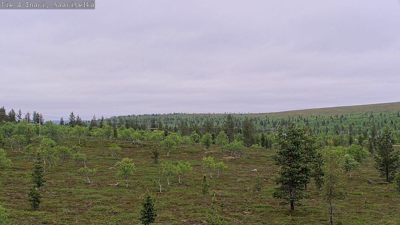 Kelikamerat Kuva Tie 4 Inari, Saariselkä, Kaunispää, Inari, Lappi