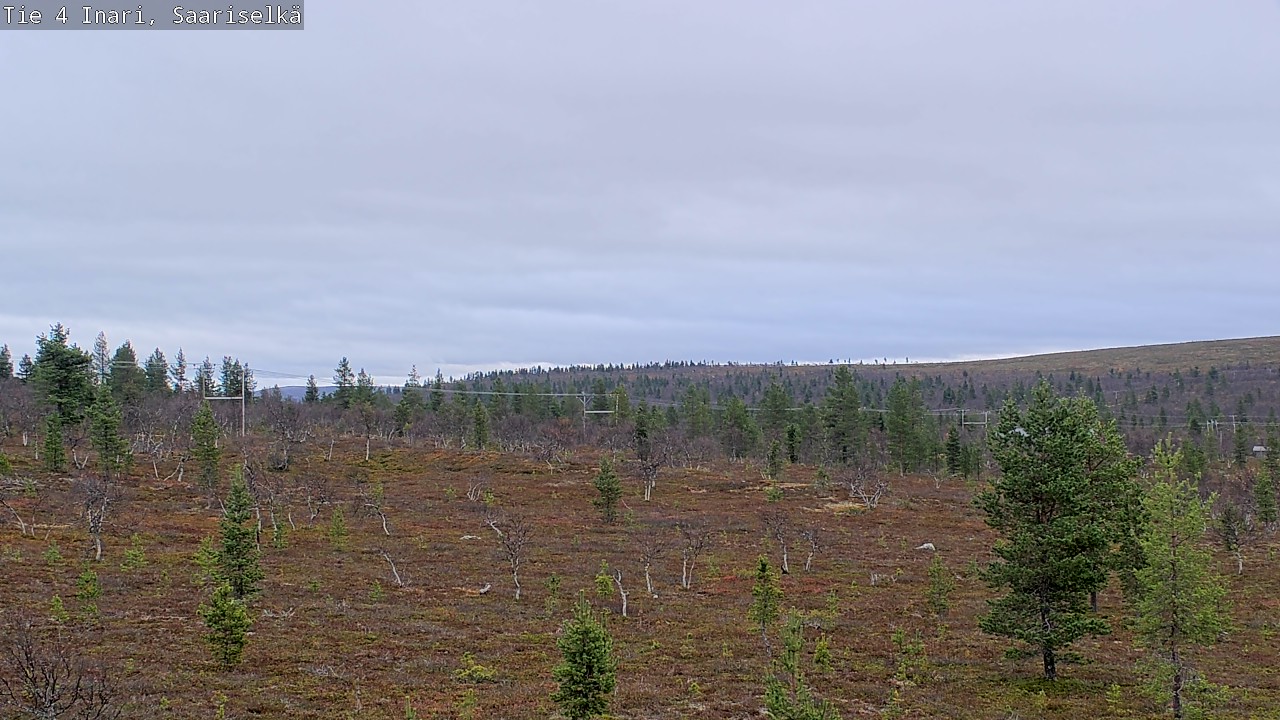 Kelikamerat Kuva Tie 4 Inari, Saariselkä, Kaunispää, Inari, Lappi