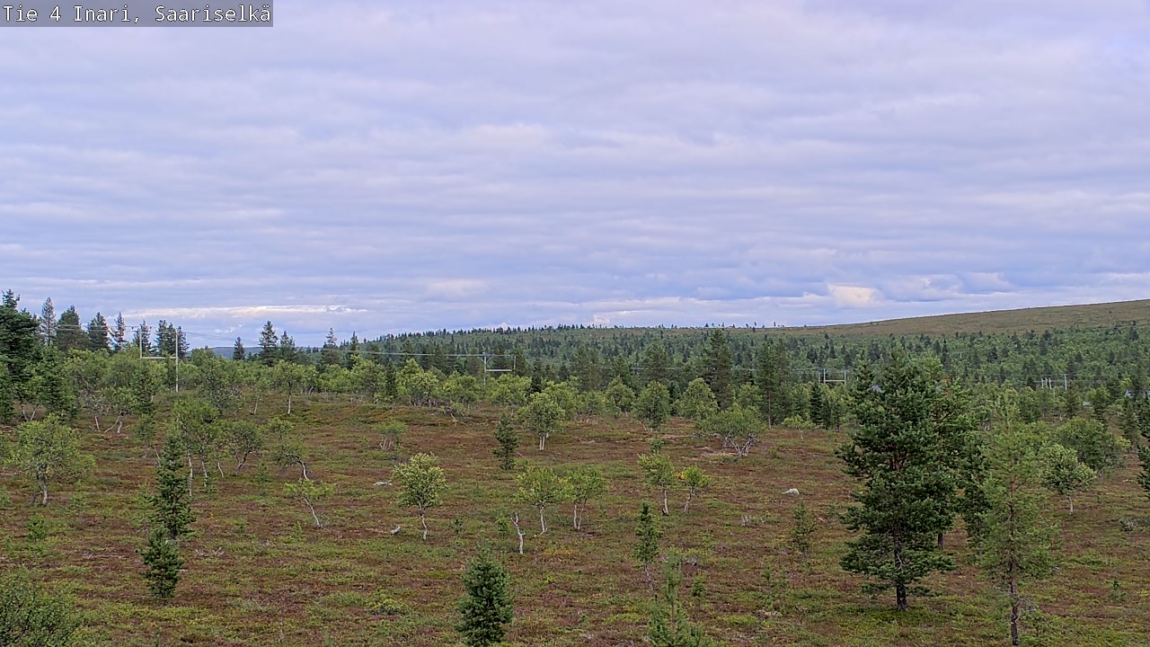 Kelikamerat Kuva Tie 4 Inari, Saariselkä, Kaunispää, Inari, Lappi
