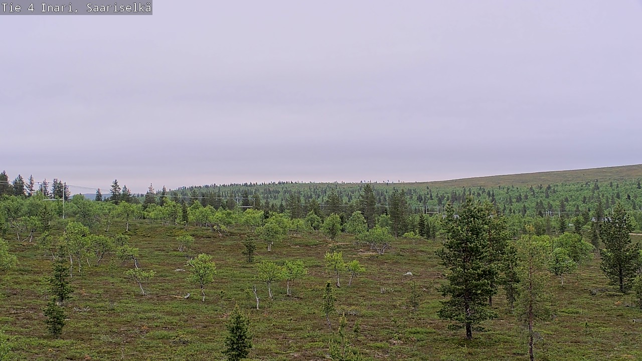 Kelikamerat Kuva Tie 4 Inari, Saariselkä, Kaunispää, Inari, Lappi