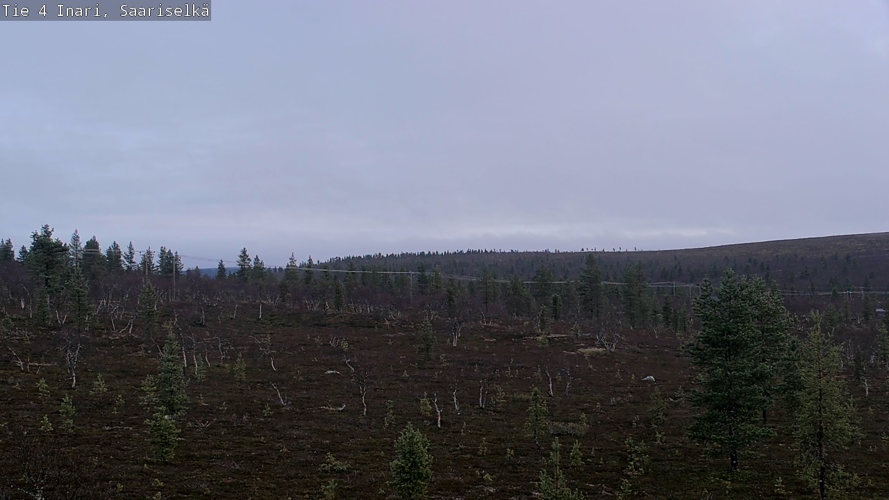 Kelikamerat Kuva Tie 4 Inari, Saariselkä, Kaunispää, Inari, Lappi