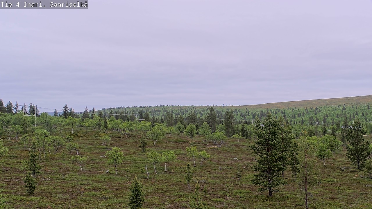Kelikamerat Kuva Tie 4 Inari, Saariselkä, Kaunispää, Inari, Lappi