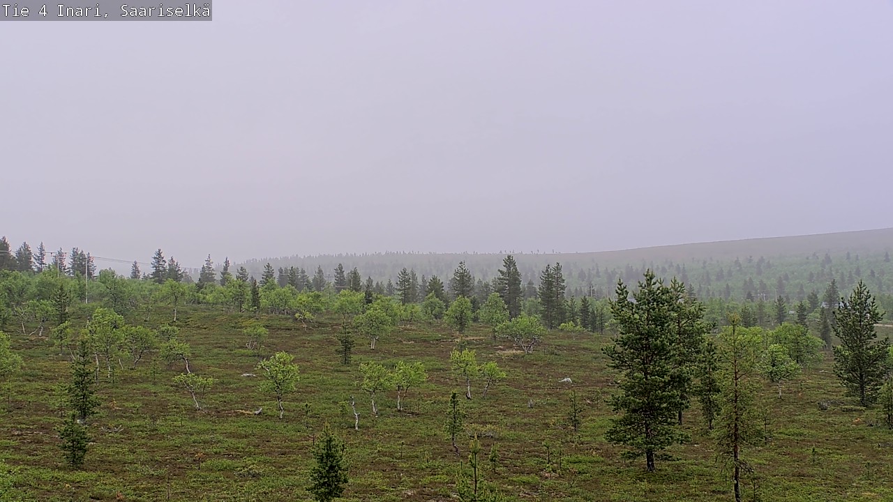 Kelikamerat Kuva Tie 4 Inari, Saariselkä, Kaunispää, Inari, Lappi
