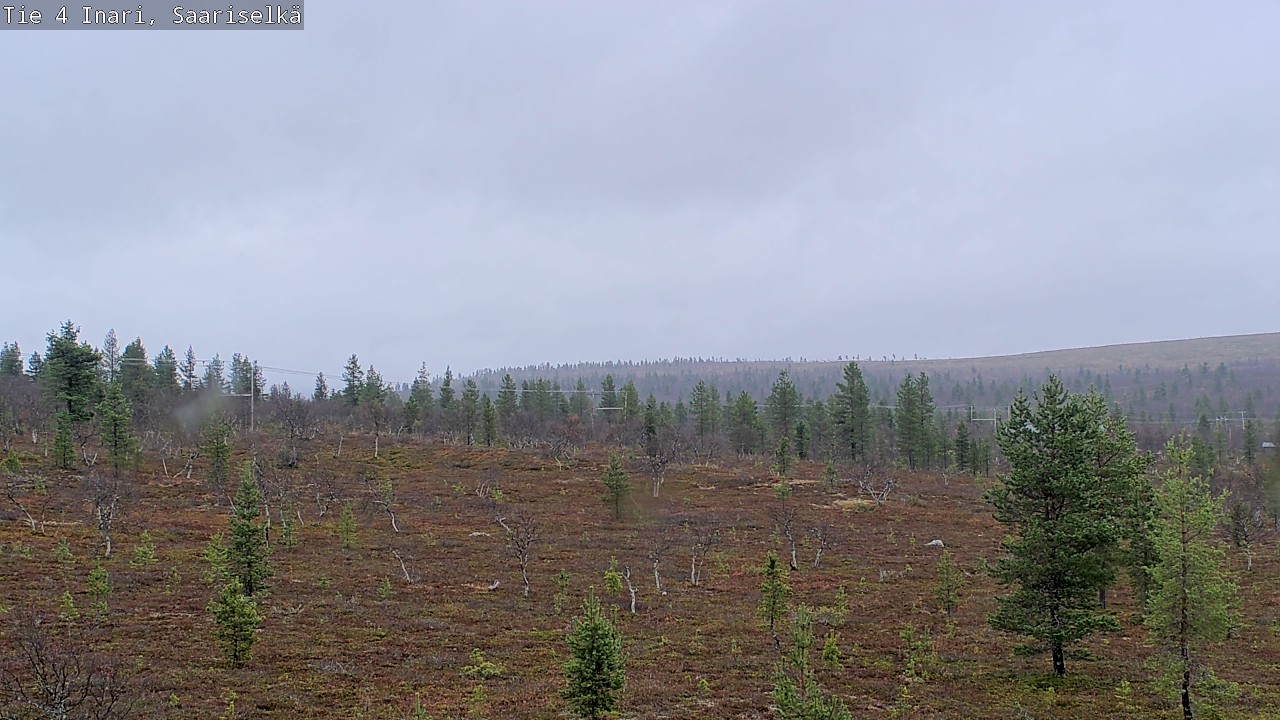 Weather Camera Image Road 4 Inari, Saariselkä, Kaunispää, Inari, Lappi