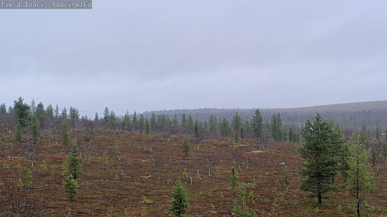 Weather Camera Image Road 4 Inari, Saariselkä, Kaunispää, Inari, Lappi