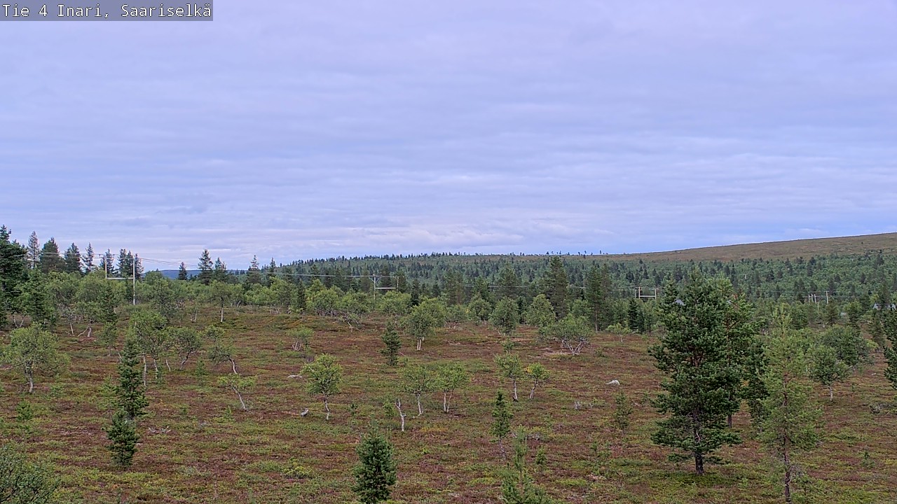 Kelikamerat Kuva Tie 4 Inari, Saariselkä, Kaunispää, Inari, Lappi