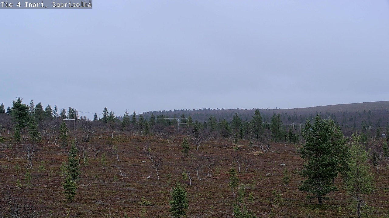 Kelikamerat Kuva Tie 4 Inari, Saariselkä, Kaunispää, Inari, Lappi