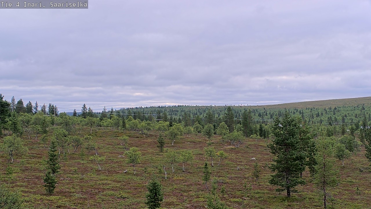 Kelikamerat Kuva Tie 4 Inari, Saariselkä, Kaunispää, Inari, Lappi