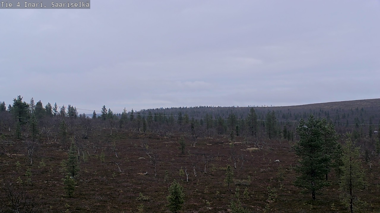Kelikamerat Kuva Tie 4 Inari, Saariselkä, Kaunispää, Inari, Lappi