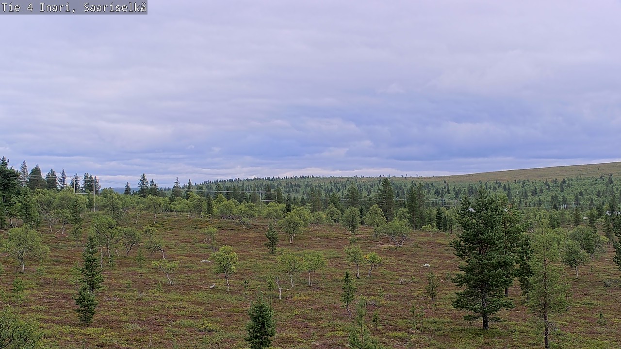 Kelikamerat Kuva Tie 4 Inari, Saariselkä, Kaunispää, Inari, Lappi