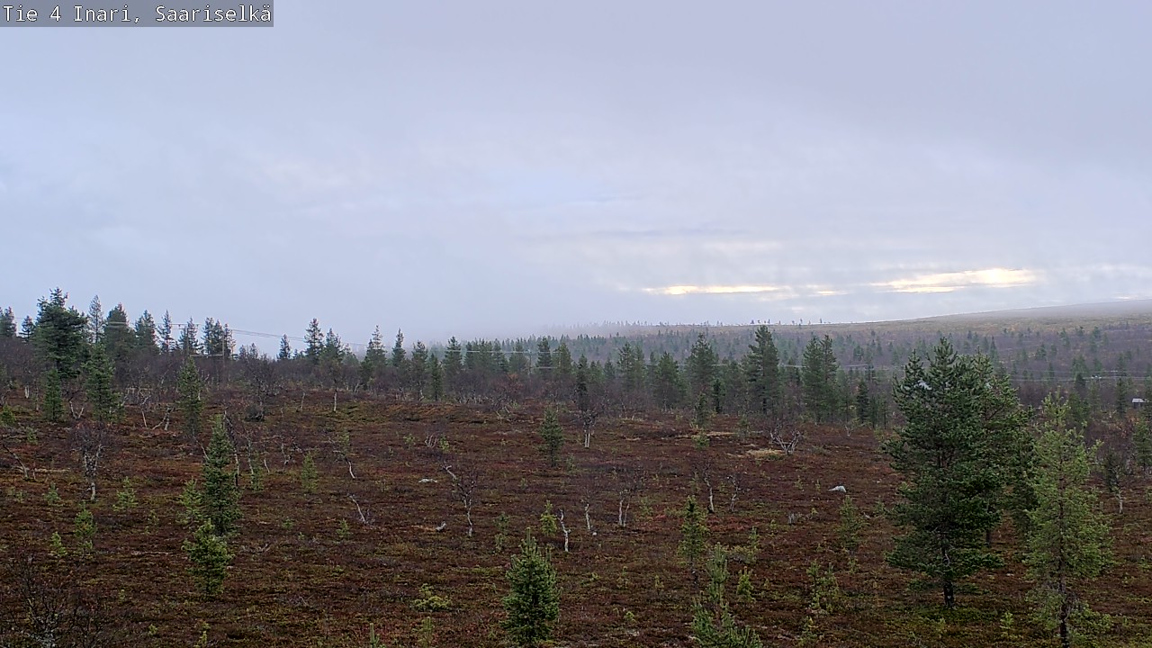 Kelikamerat Kuva Tie 4 Inari, Saariselkä, Kaunispää, Inari, Lappi