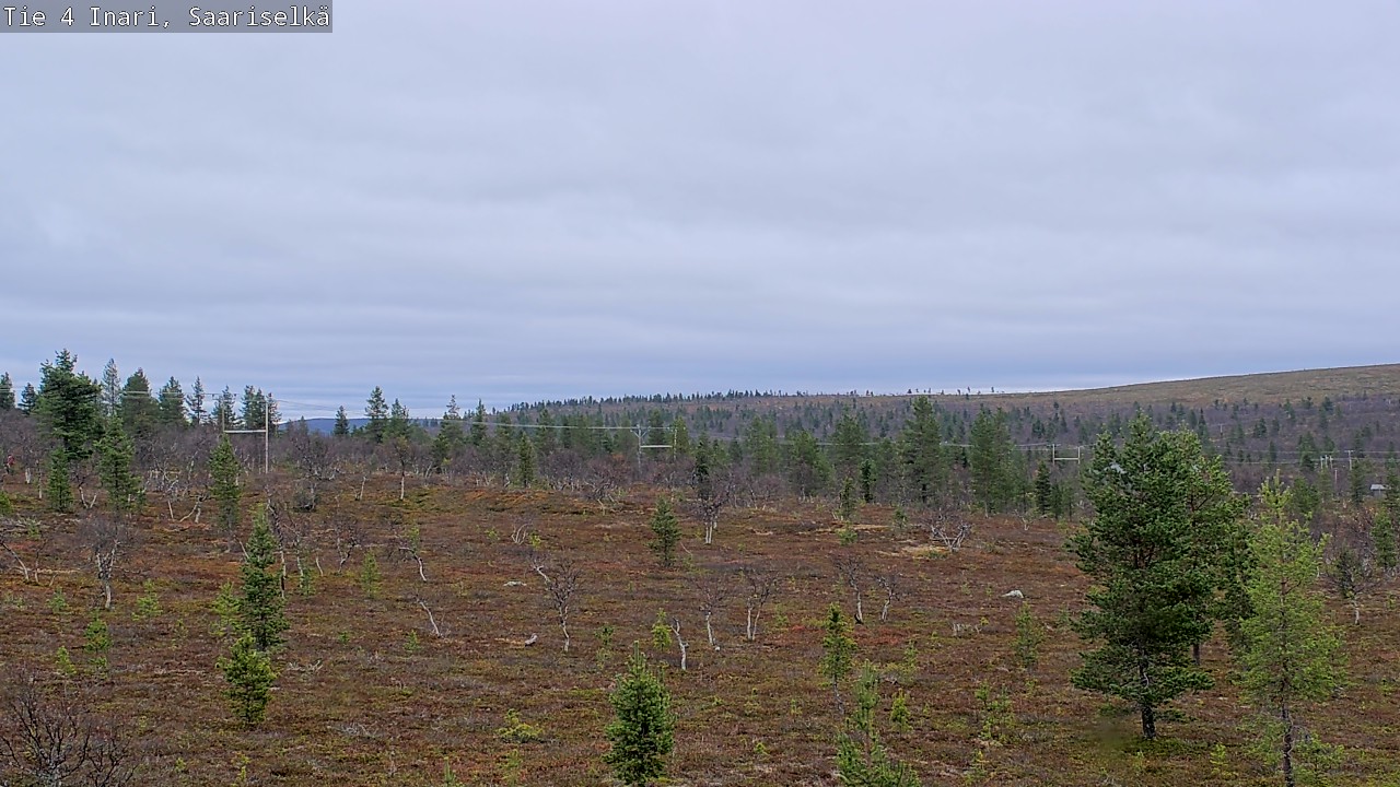 Kelikamerat Kuva Tie 4 Inari, Saariselkä, Kaunispää, Inari, Lappi