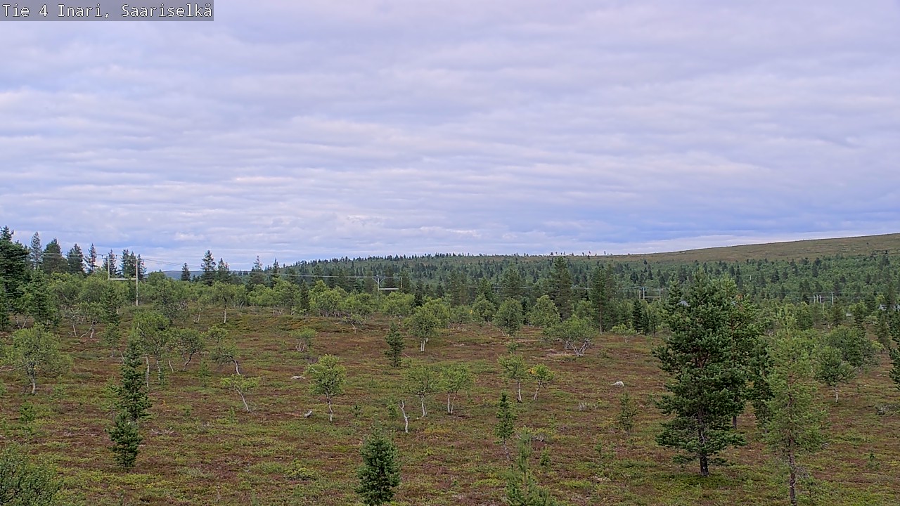 Kelikamerat Kuva Tie 4 Inari, Saariselkä, Kaunispää, Inari, Lappi