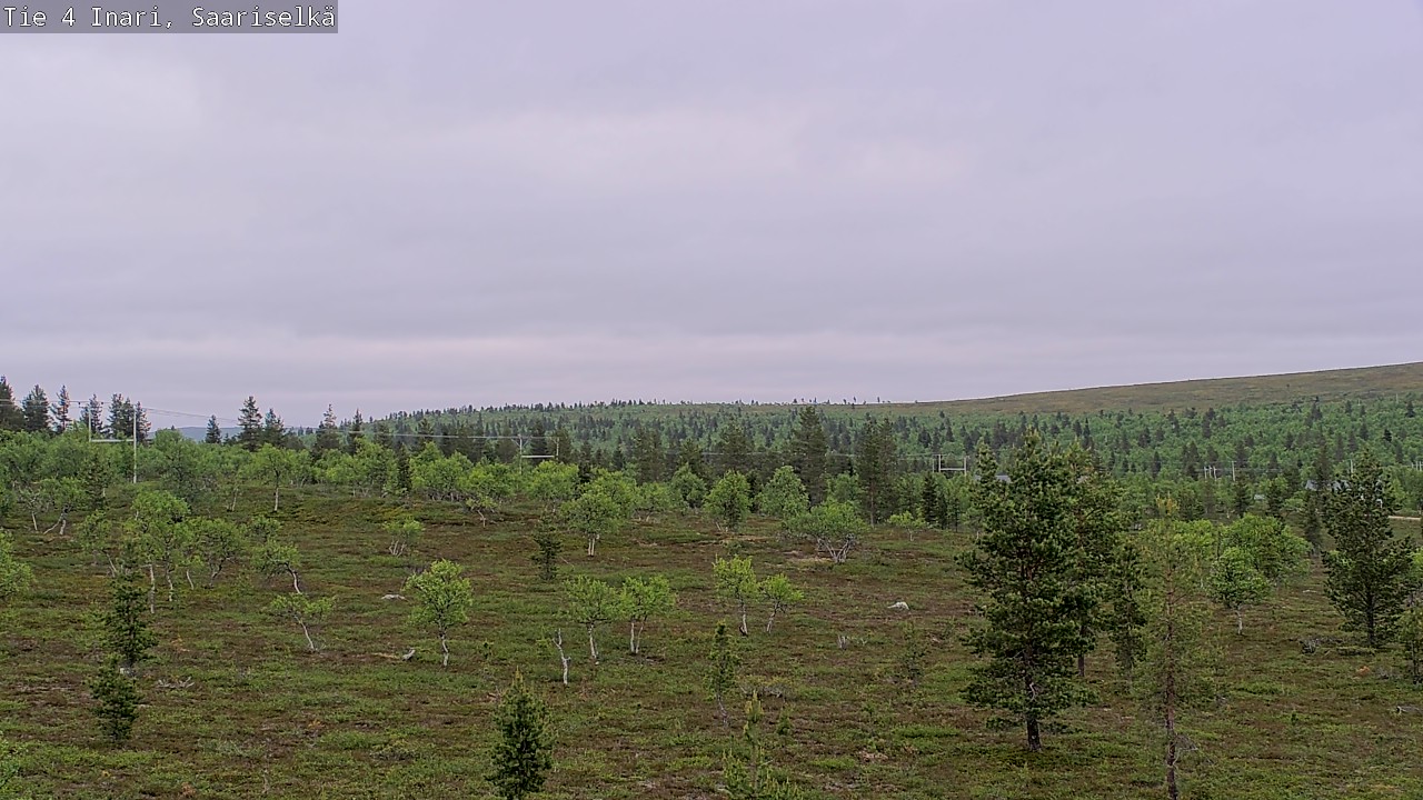 Kelikamerat Kuva Tie 4 Inari, Saariselkä, Kaunispää, Inari, Lappi