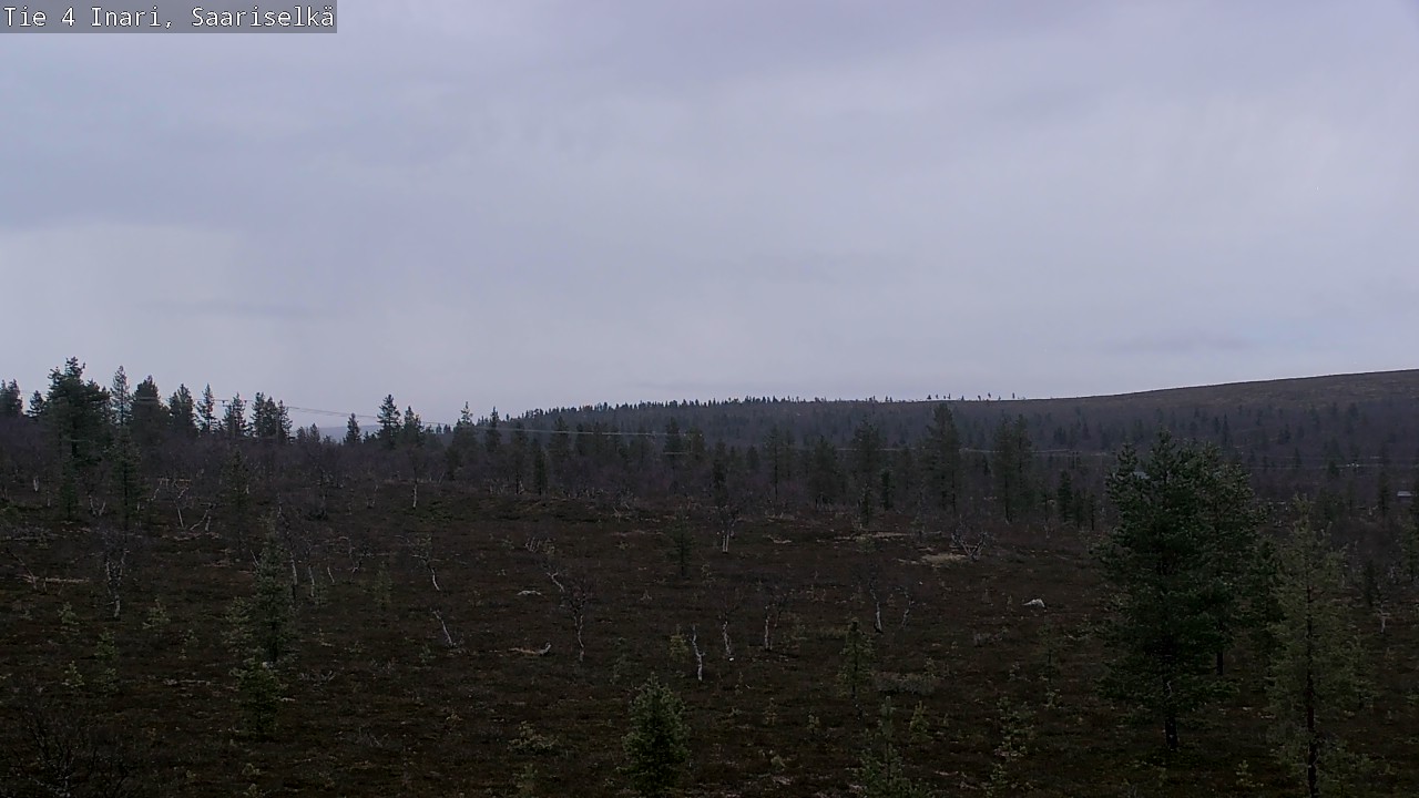 Kelikamerat Kuva Tie 4 Inari, Saariselkä, Kaunispää, Inari, Lappi