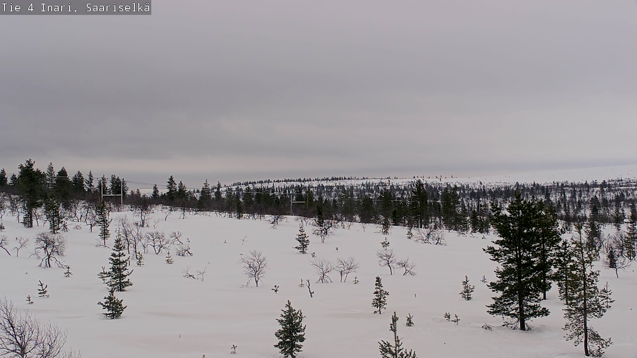 Kelikamerat Kuva Tie 4 Inari, Saariselkä, Kaunispää, Inari, Lappi