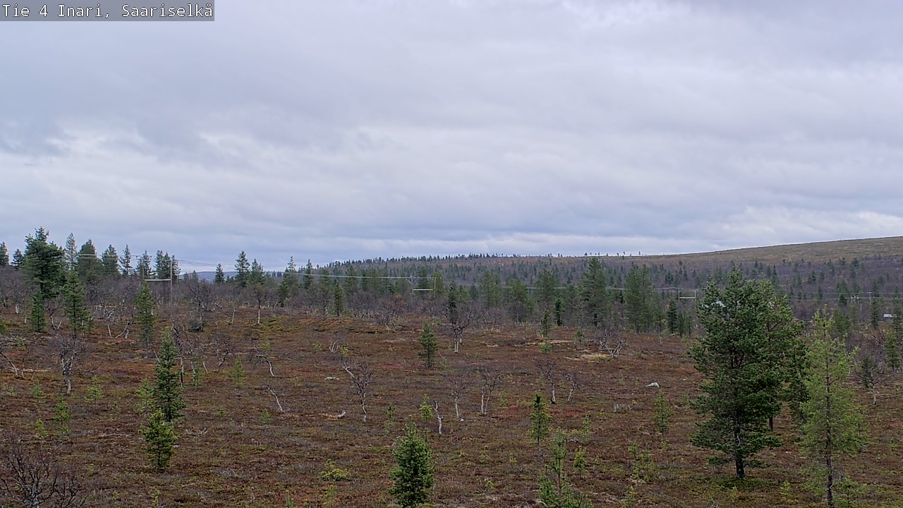 Kelikamerat Kuva Tie 4 Inari, Saariselkä, Kaunispää, Inari, Lappi