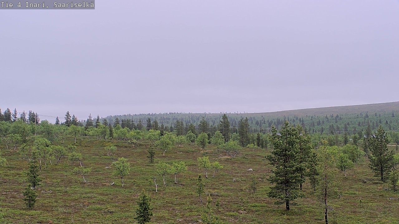 Kelikamerat Kuva Tie 4 Inari, Saariselkä, Kaunispää, Inari, Lappi