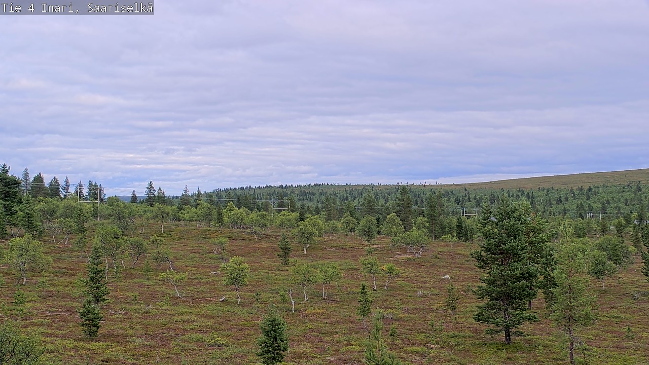 Kelikamerat Kuva Tie 4 Inari, Saariselkä, Kaunispää, Inari, Lappi
