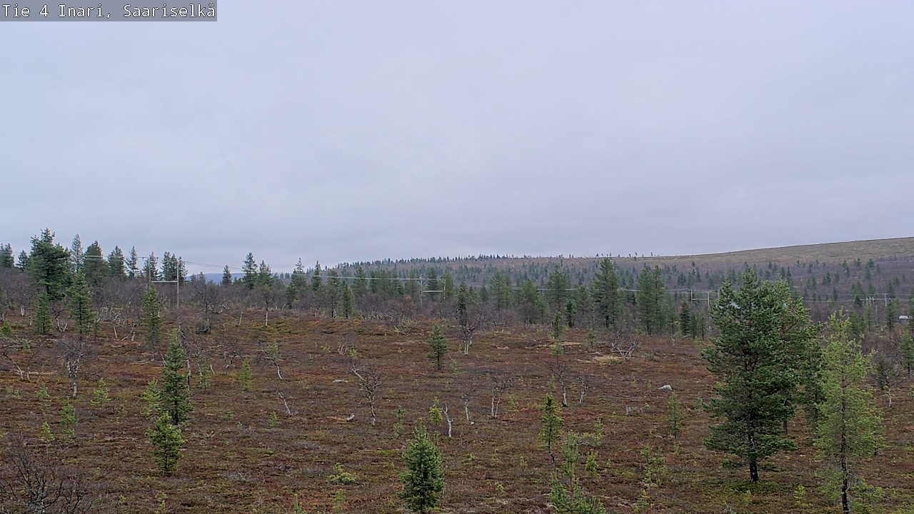 Weather Camera Image Road 4 Inari, Saariselkä, Kaunispää, Inari, Lappi