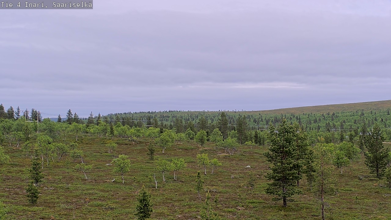 Kelikamerat Kuva Tie 4 Inari, Saariselkä, Kaunispää, Inari, Lappi