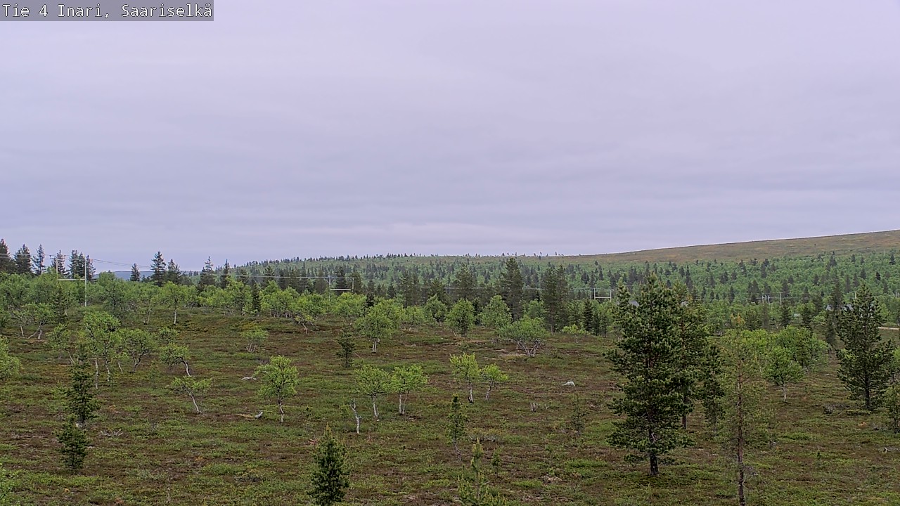 Kelikamerat Kuva Tie 4 Inari, Saariselkä, Kaunispää, Inari, Lappi