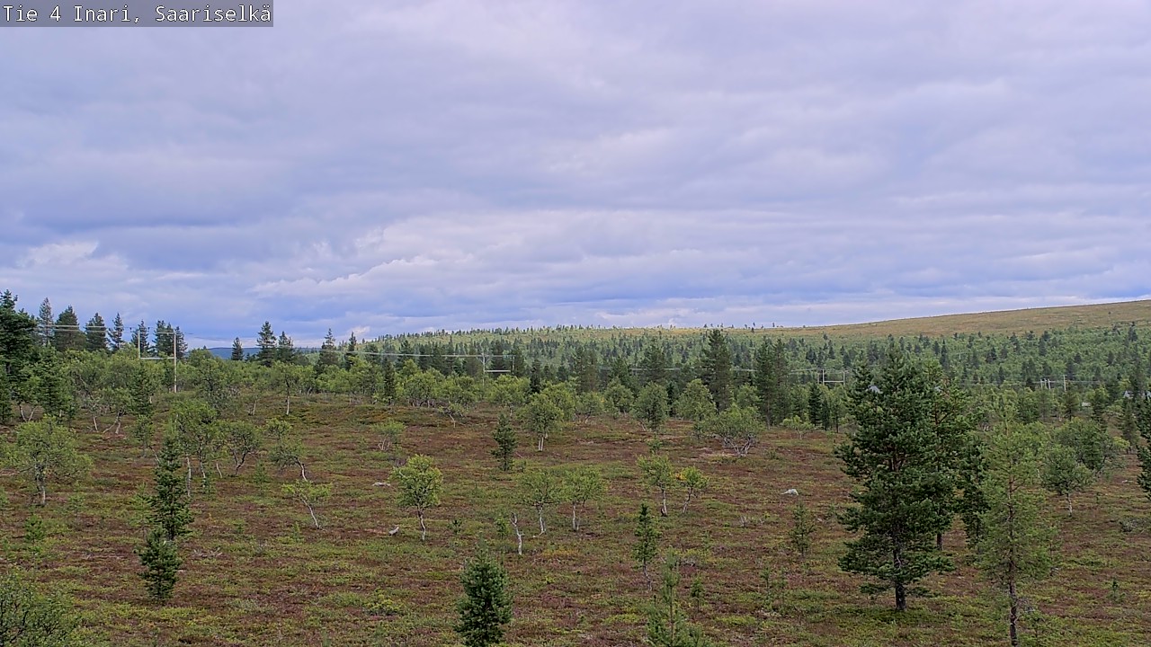 Kelikamerat Kuva Tie 4 Inari, Saariselkä, Kaunispää, Inari, Lappi