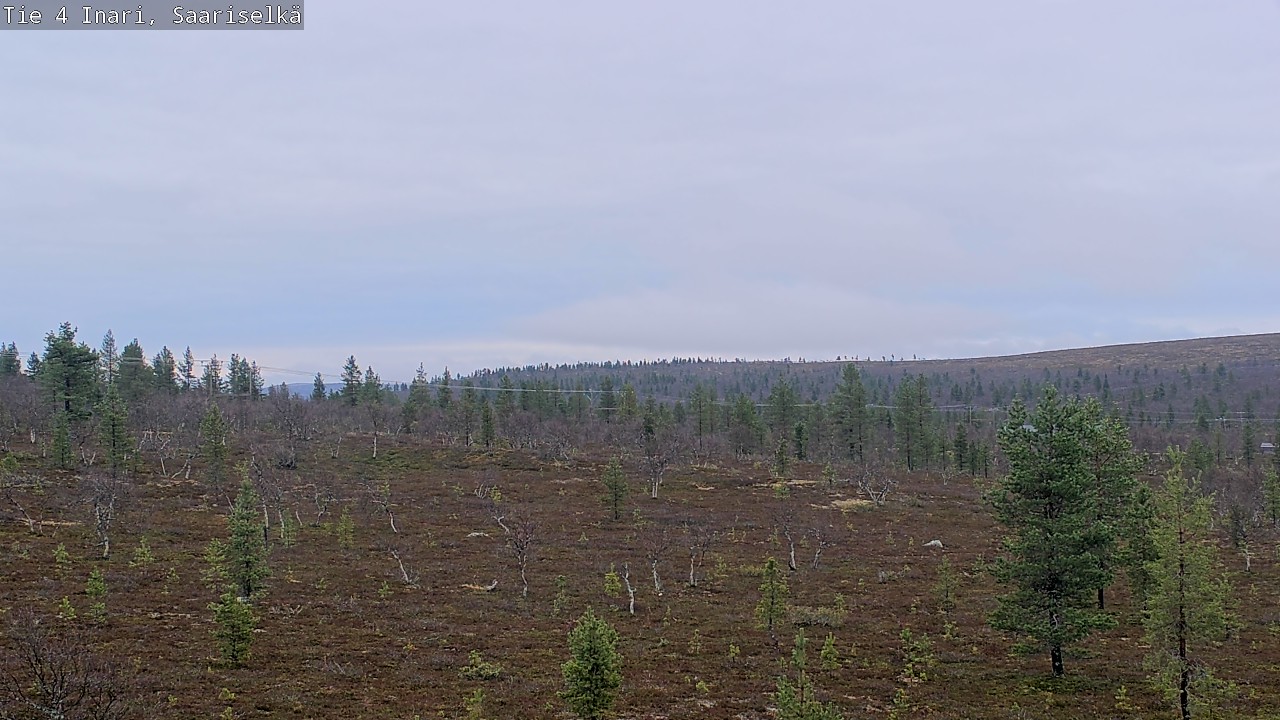 Kelikamerat Kuva Tie 4 Inari, Saariselkä, Kaunispää, Inari, Lappi