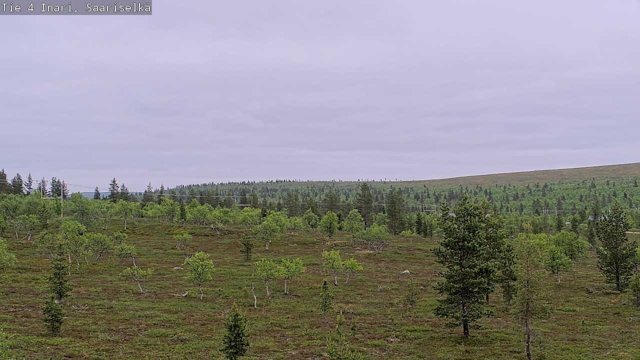 Kelikamerat Kuva Tie 4 Inari, Saariselkä, Kaunispää, Inari, Lappi