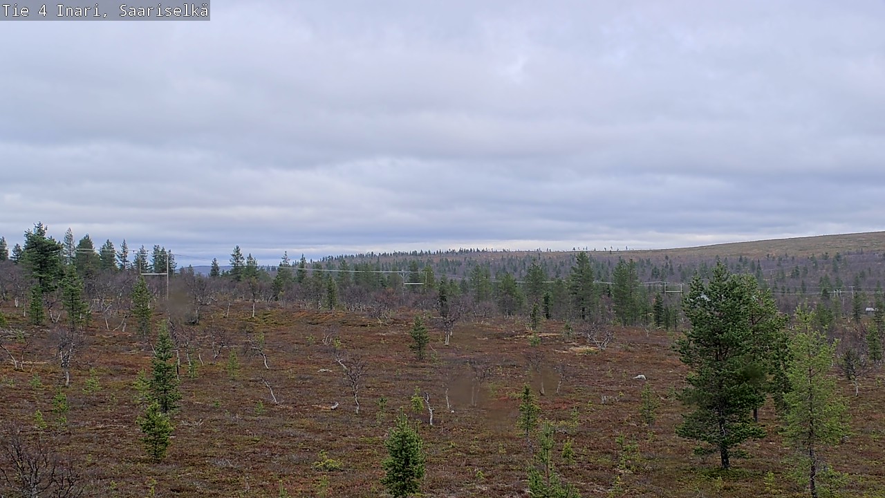 Kelikamerat Kuva Tie 4 Inari, Saariselkä, Kaunispää, Inari, Lappi