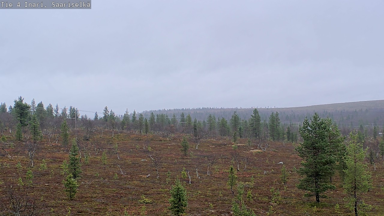 Weather Camera Image Road 4 Inari, Saariselkä, Kaunispää, Inari, Lappi