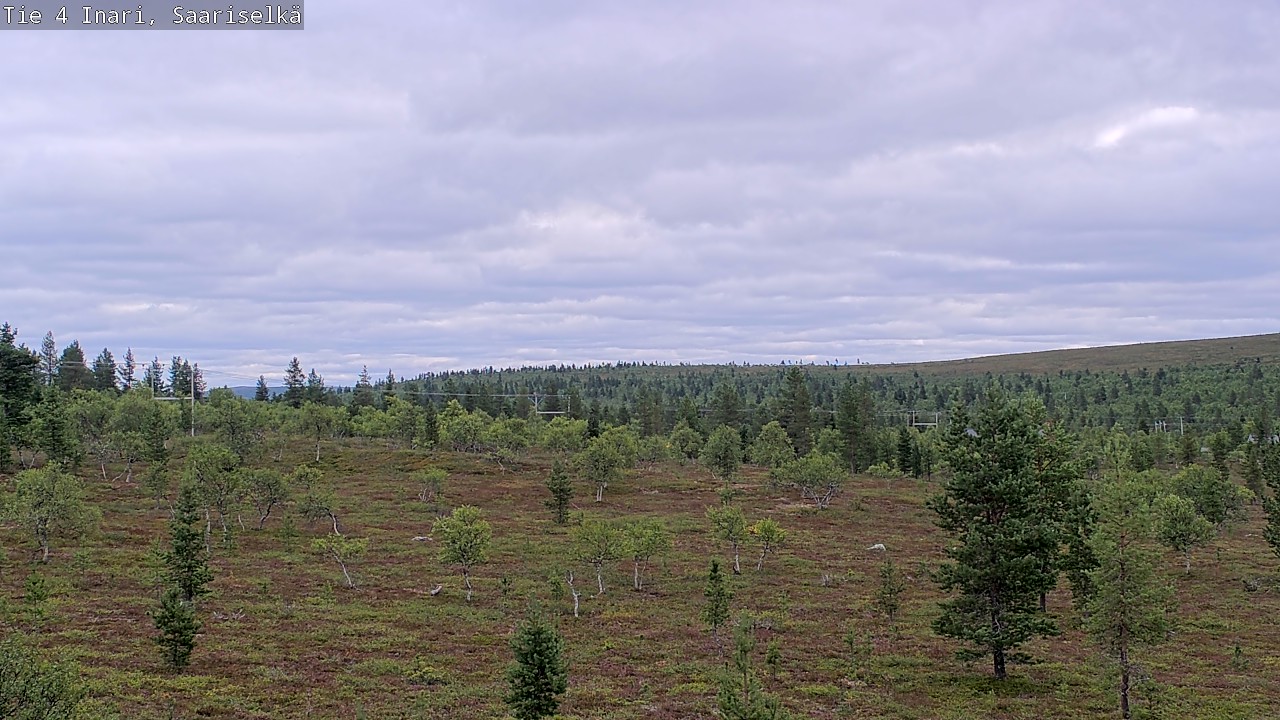 Kelikamerat Kuva Tie 4 Inari, Saariselkä, Kaunispää, Inari, Lappi