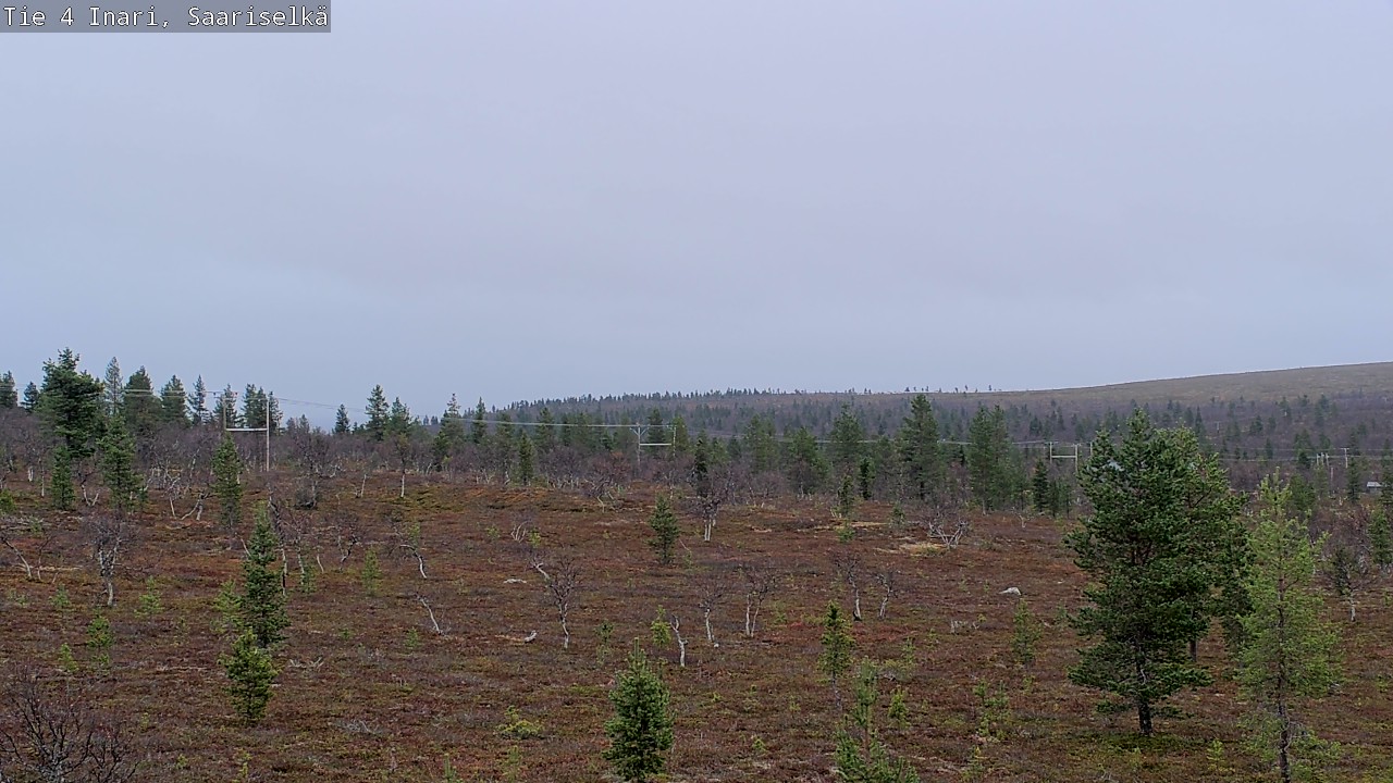 Kelikamerat Kuva Tie 4 Inari, Saariselkä, Kaunispää, Inari, Lappi