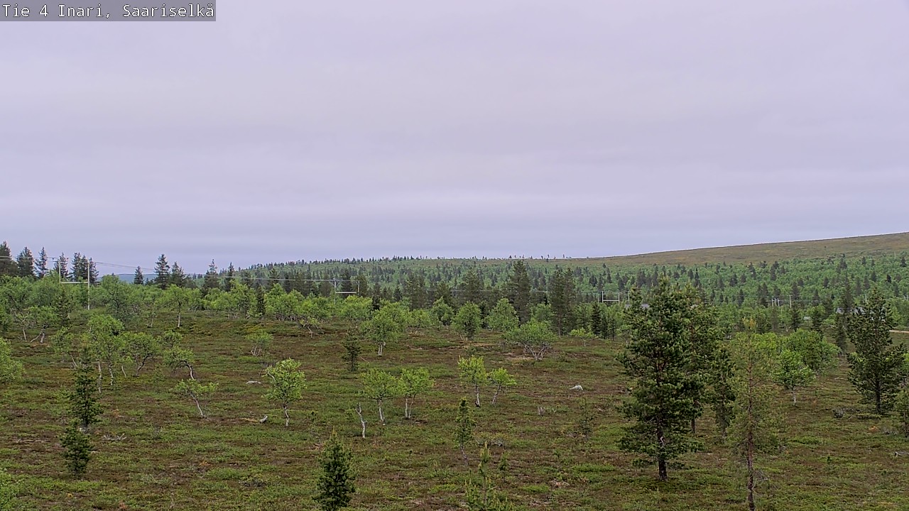 Kelikamerat Kuva Tie 4 Inari, Saariselkä, Kaunispää, Inari, Lappi