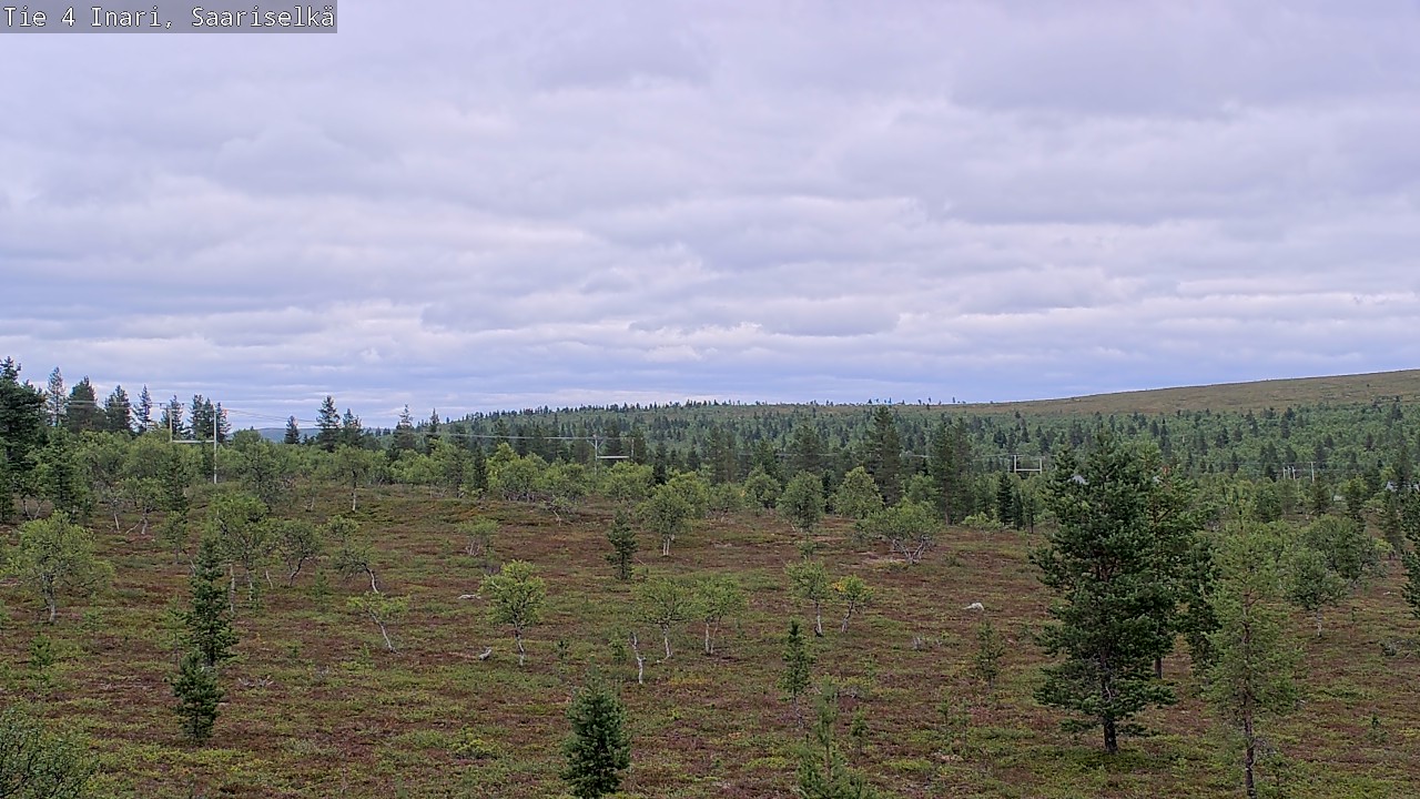Kelikamerat Kuva Tie 4 Inari, Saariselkä, Kaunispää, Inari, Lappi