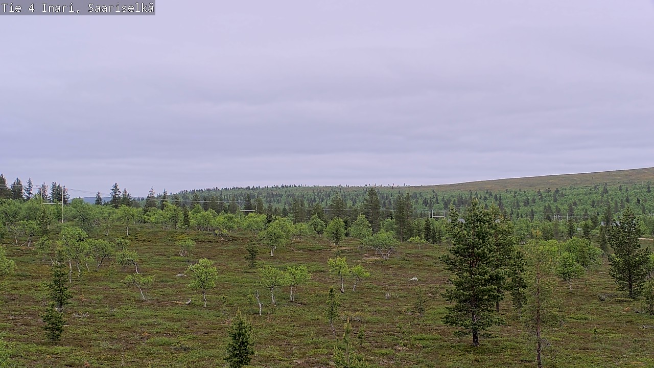 Kelikamerat Kuva Tie 4 Inari, Saariselkä, Kaunispää, Inari, Lappi