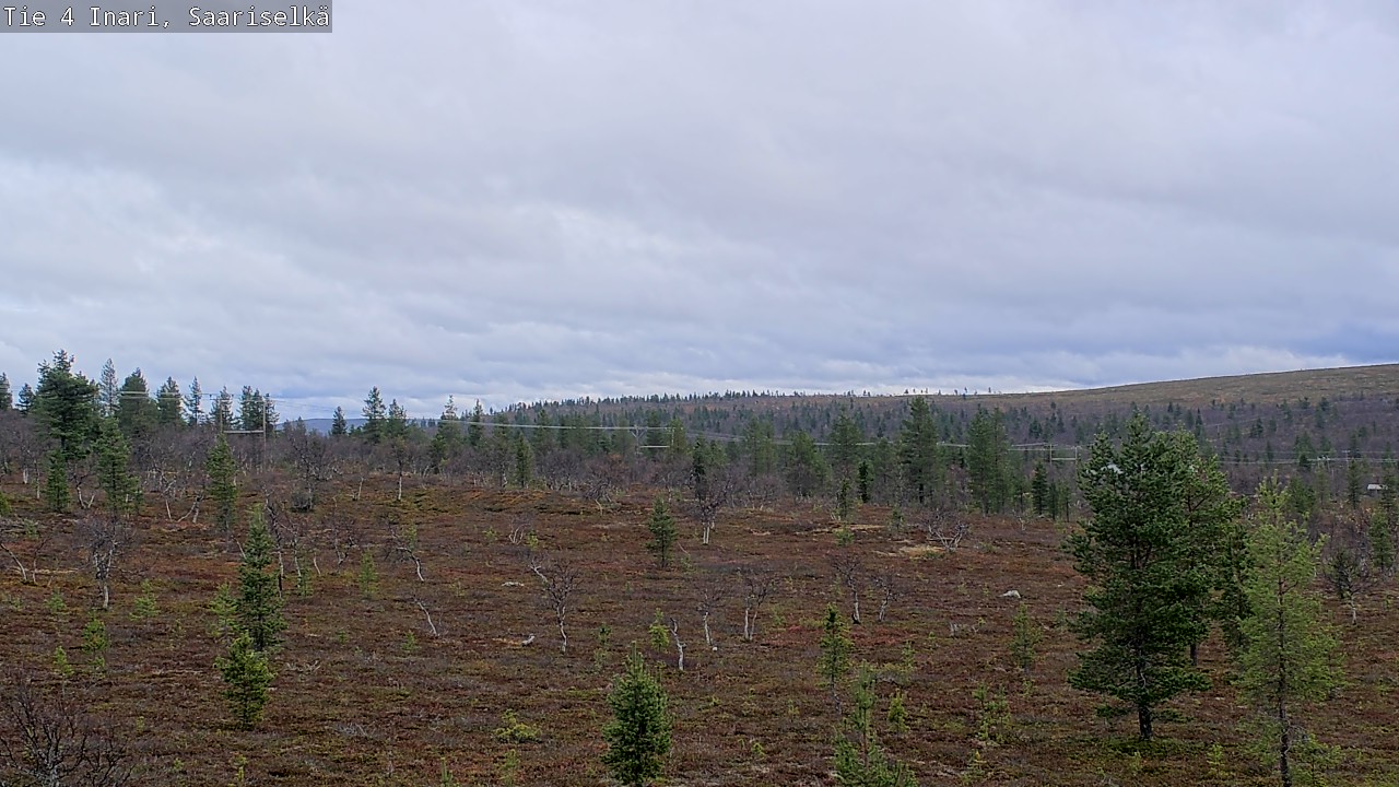 Kelikamerat Kuva Tie 4 Inari, Saariselkä, Kaunispää, Inari, Lappi
