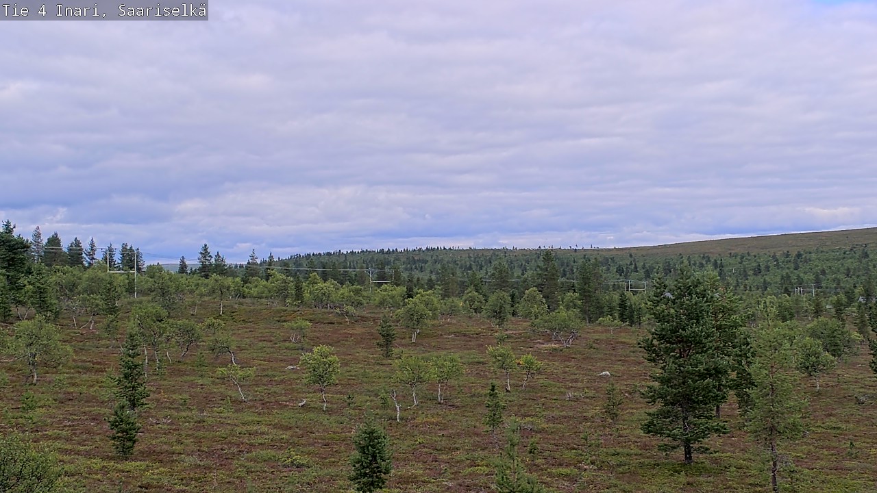Kelikamerat Kuva Tie 4 Inari, Saariselkä, Kaunispää, Inari, Lappi