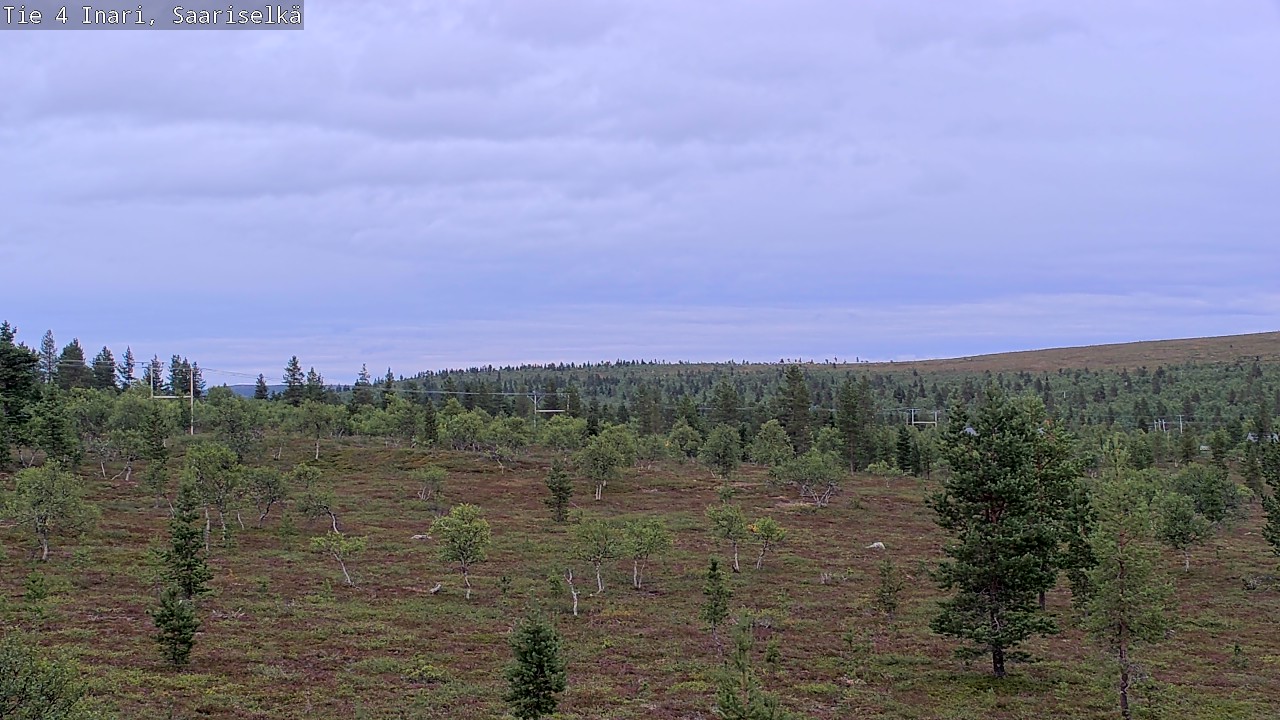 Kelikamerat Kuva Tie 4 Inari, Saariselkä, Kaunispää, Inari, Lappi