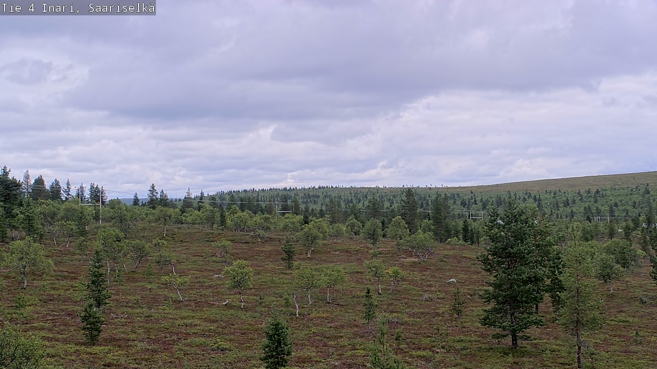 Kelikamerat Kuva Tie 4 Inari, Saariselkä, Kaunispää, Inari, Lappi