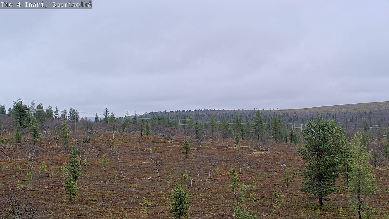 Weather Camera Image Road 4 Inari, Saariselkä, Kaunispää, Inari, Lappi
